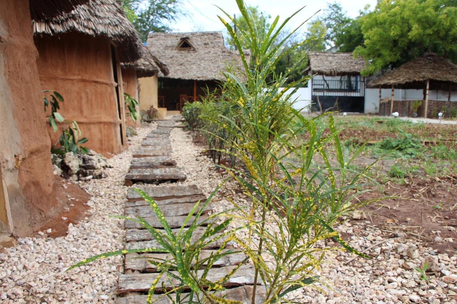 Zanzigo Otel Nungwi Dış mekan fotoğraf